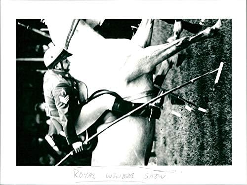 תצלום וינטג 'של מופע הסוסים של רויאל ווינדזור