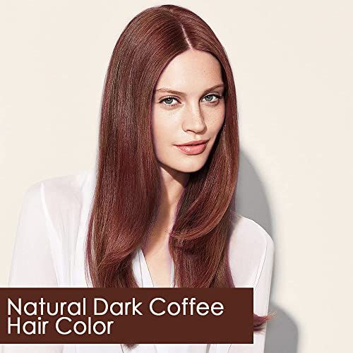 שחור שיער מיידי צבע שמפו ערמונים שחום שיער חום שמפו לשמפו לנשים וגברים 3 ב 1- מרכיבים צמחיים שמפו בצבע