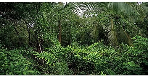 AWERT 24X12 אינץ 'ויניל יער חממה רקע יער גשם רקע אקווריום צמחים טרופיים עצים זוחלים רקע זוחלים