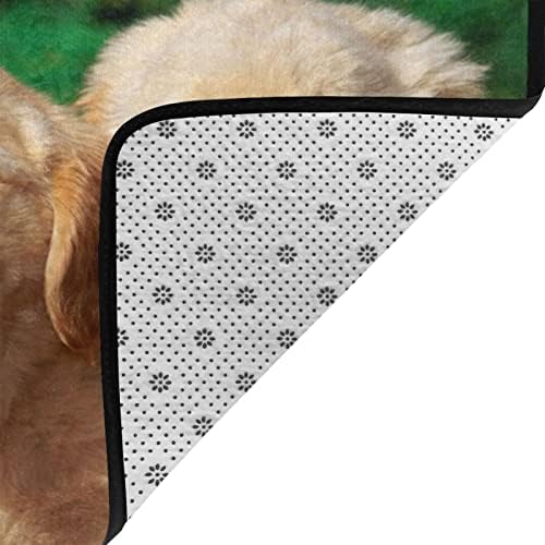 שטיח אזור מודרני לסלון סלון רטריבר כלבים גורים חיות מחמד חיות מחמד מודפסות שטיח סופג ללא החלקה לחדר