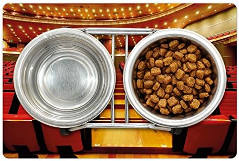 מחצלת חיות מחמד לתיאטרון מוזיקלי לאוכל ומים, כסאות אולם התיאטרון הלאומי הגדול בסין אודיטוריום דימויים