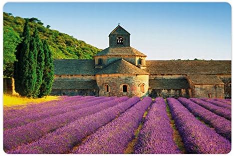 מחצלת לבנדר לחיות מחמד למזון ומים, מנזר סנאנק בצרפת אדריכלות כפרי שורות פורחות סניק, מלבן מחצלת גומי