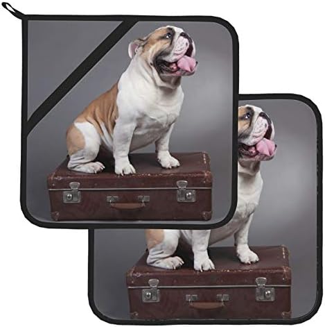 מזוודה שמחה כלב כלבי גור מחזיקי סיר עמידים בפני חום עם כיסים 2 מערכות מגבות מטבח עם מחזיקי סיר 8 × 8