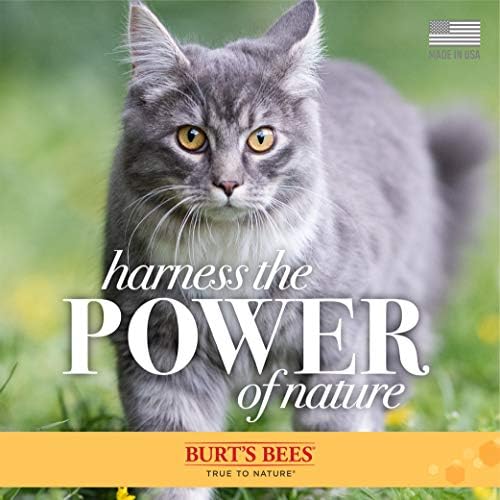 ברט של דבורים לחתולים היפואלרגנית שמפו וקשקשים הפחתת טיפוח מגבונים-חתול שמפו ומגבונים עבור חתול קשקשים,