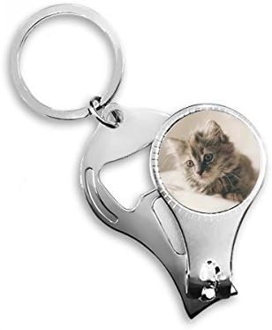חיה קיטי חתול אפור צילום ציפורניים ניפר טבעת מפתח בקבוקי שרשרת פותחן